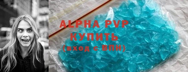 сатива Богданович