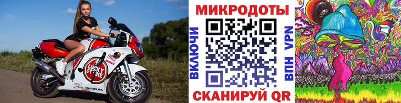 Псилоцибиновые грибы мухоморы Звенигово
